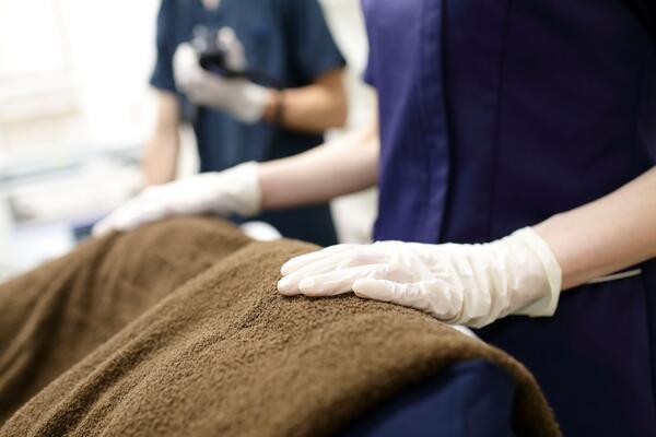 さいたま胃腸内視鏡と肝臓のクリニック 和光市駅前院（常勤）の看護師求人メイン写真3