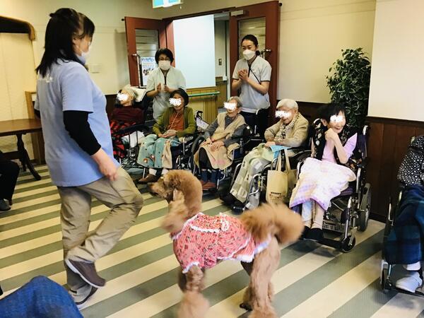 ファミリアガーデン品川（常勤）の介護福祉士求人メイン写真4