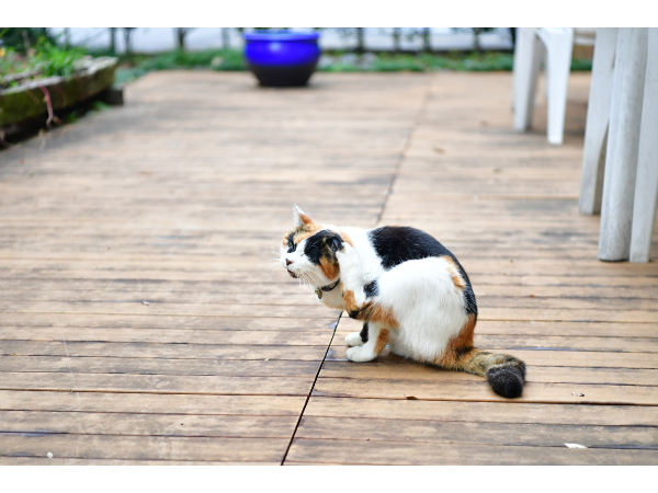 特別養護老人ホーム 新柏ヴィヴァンホーム（パート）の介護職求人メイン写真3