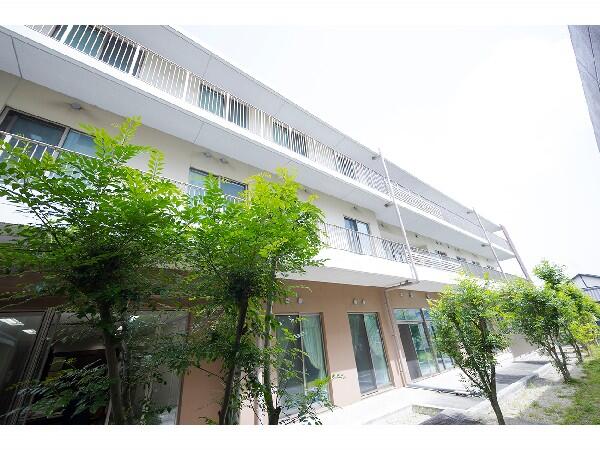 特別養護老人ホーム垣生の里（夜勤専従/常勤）の看護師求人メイン写真2