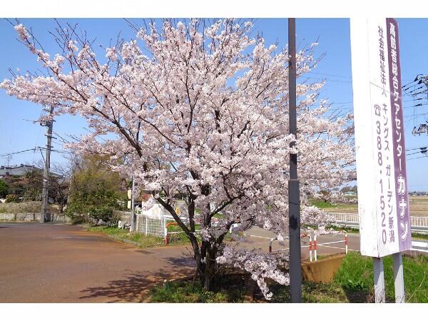 デイサービスセンターカナン寺山（常勤）の社会福祉主事任用求人メイン写真2