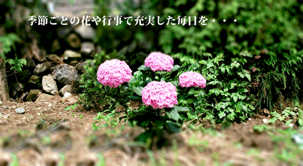 有料老人ホーム寿楽（パート）の調理師/調理員求人メイン写真3