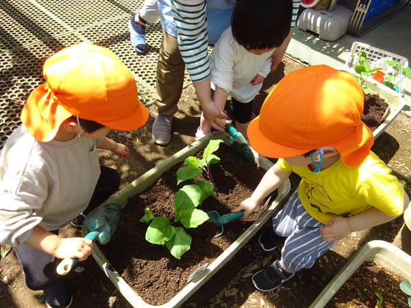コンビプラザ東和三丁目保育園（常勤）の保育士求人メイン写真2