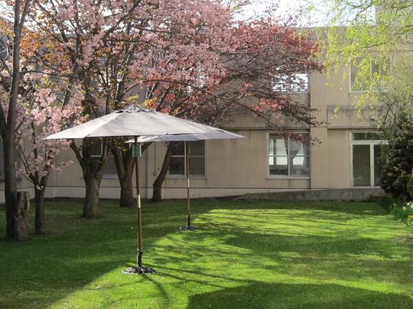 特別養護老人ホーム 福寿園（生活相談員/常勤）の介護福祉士求人の写真