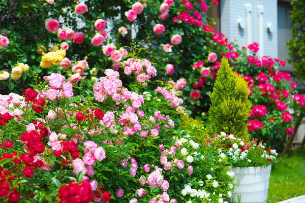 グループホーム フラワーガーデン（常勤）の介護職求人メイン写真2