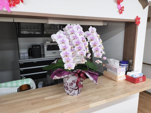 ライフィニティ八王子（パート）の介護職求人メイン写真4