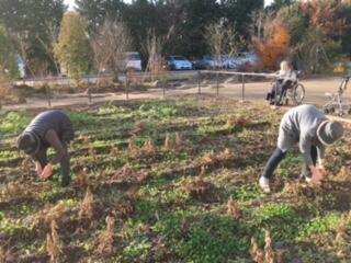 特別養護老人ホームまごころ館四街道（パート）の介護職求人メイン写真3