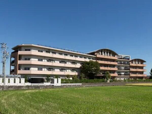 老人デイサービスセンターあいせの里（常勤）の准看護師求人の写真