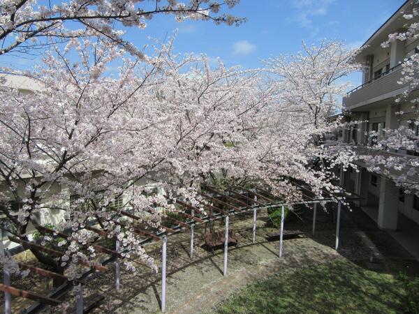 介護老人保健施設やすらぎ（正社員）の介護福祉士求人メイン写真5
