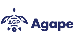 アガペの里介護ステーションなにわ（主任ケアマネージャー/常勤）のケアマネジャー求人メイン写真5