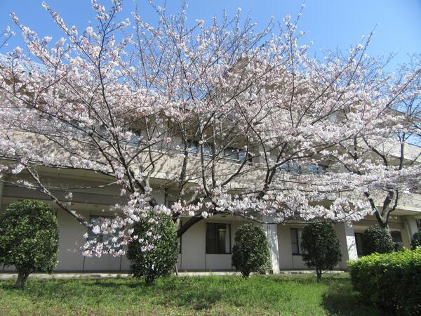 介護老人保健施設やすらぎ（パート）の介護職求人の写真