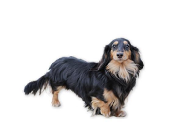 くれよんアイクリニック（パート）の視能訓練士求人サブ写真1