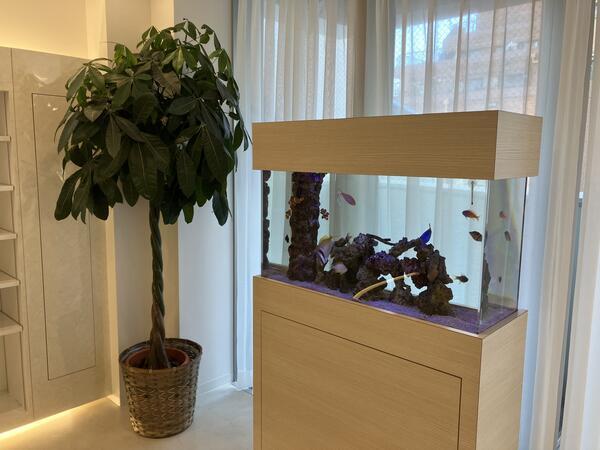 麻布モンテアール レディースクリニック（常勤）の准看護師求人メイン写真4