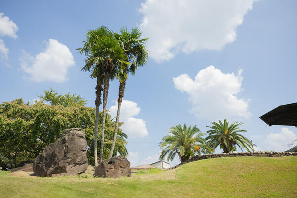 岸和田こころのホスピタル（常勤）の精神保健福祉士求人メイン写真4