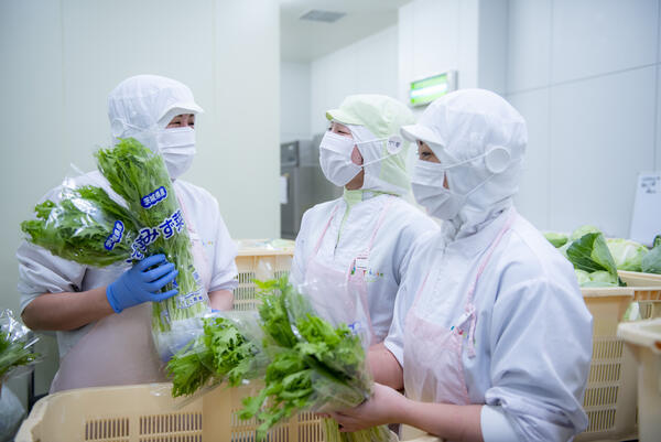 葉隠勇進(株) 糸島市立前原中学校(厨房/パート)の調理師/調理員求人の写真