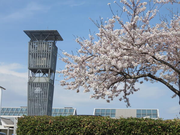 特別養護老人ホーム かごぼうの里（常勤）の看護師求人の写真