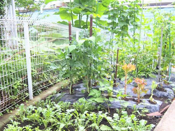 住宅型有料老人ホーム えくぼ （常勤）の介護職求人メイン写真2