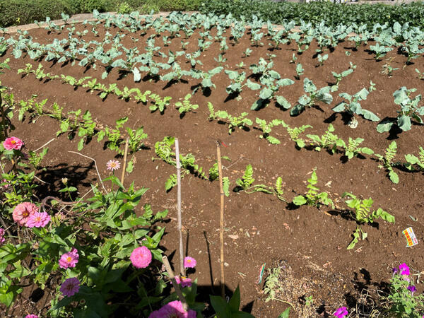 特別養護老人ホーム　ゆかり八街西林（常勤）の介護職求人メイン写真5