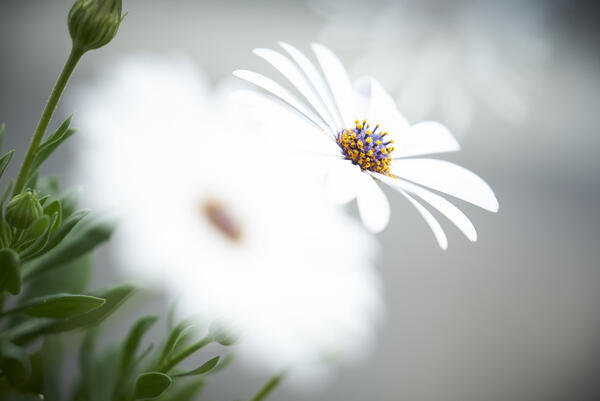 すずきクリニック(パート)の看護助手求人サブ写真1