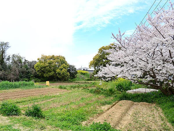 三善病院（常勤）の看護師求人メイン写真5