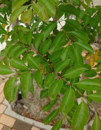 みどりヶ丘クリニック（常勤）の医療事務求人サブ写真1