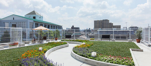 介護付き有料老人ホーム ドーミーときわ台（パート）のケアマネジャー求人メイン写真3