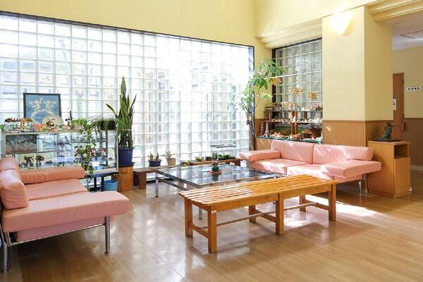 みどりの園病院（病棟/常勤）の看護師求人の写真