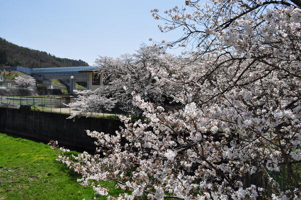 医療法人社団衿正会 生駒病院（常勤）の介護職求人メイン写真4