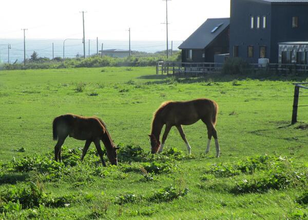 介護老人保健施設 浦河緑苑（常勤）の社会福祉士求人メイン写真4