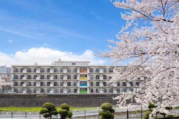 訪問介護いろどりステーション(正職員)の介護職求人の写真