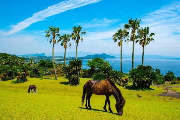 指宿浩然会病院（病棟/常勤）の看護師求人メイン写真3