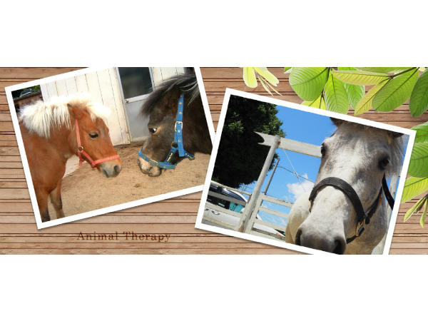 特別養護老人ホーム寝屋川苑（パート）の看護師求人サブ写真1