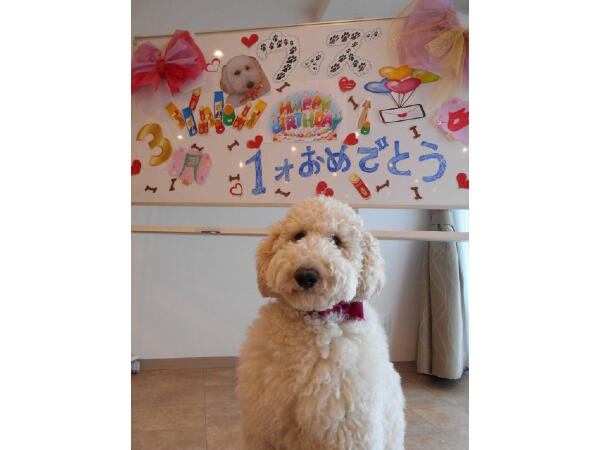 サービス付き高齢者向け住宅 ウィズ・ワン成田(管理者候補/常勤)の介護福祉士求人サブ写真1