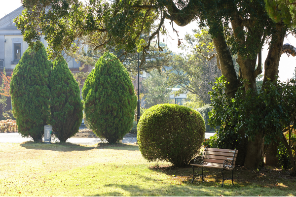 みどりの園病院（病棟/常勤）の看護師求人メイン写真3