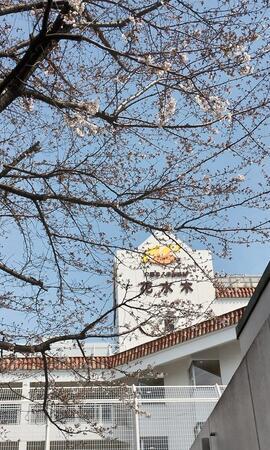 調布市地域包括支援センター はなみずき(常勤)の社会福祉士求人サブ写真1