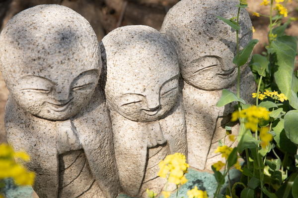 介護付有料老人ホーム エクセルシオール西国分寺（パート）の看護師求人メイン写真5