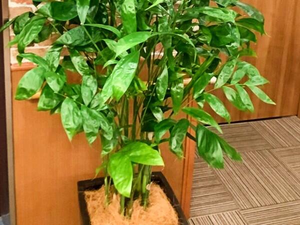 シンセリティ千代田一番町（常勤）の介護福祉士求人メイン写真3