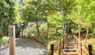 京都 ゆうゆうの里（常勤）の介護職求人メイン写真4