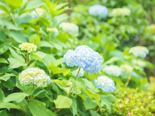 特別養護老人ホーム 箕望荘（常勤）の調理師/調理員求人サブ写真1