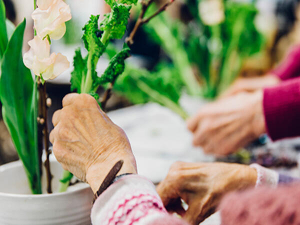 特別養護老人ホーム 寿楽園（常勤）の看護師求人メイン写真3