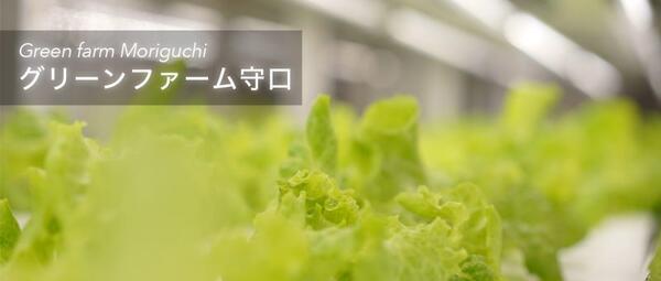 グリーンファーム守口(生活支援員/常勤)の支援員求人の写真