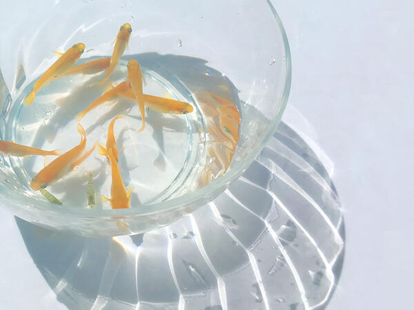 就労継続支援B型START WORK（契約社員 / 常勤）の支援員求人メイン写真3