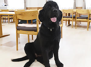 サンホームみかづき グループホーム（パート）  の介護福祉士求人サブ写真2