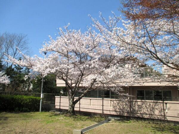 特別養護老人ホーム 郷原の里（常勤）の看護師求人の写真