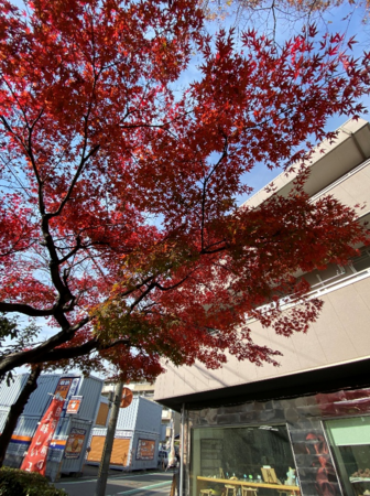 デイケアぷりぱ／第2デイケアぷりぱ（パート）の支援員求人メイン写真5