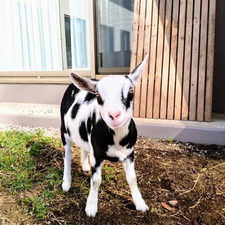 北所沢病院（常勤）の作業療法士求人メイン写真3