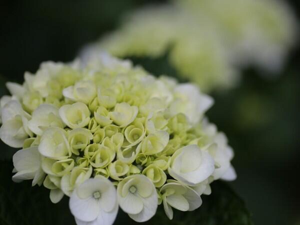 地域密着型介護老人福祉施設ひより（常勤）の介護職求人メイン写真2