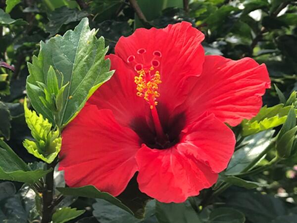 住宅型有料老人ホーム　あんねい（夜勤専門/パート）の介護福祉士求人メイン写真2