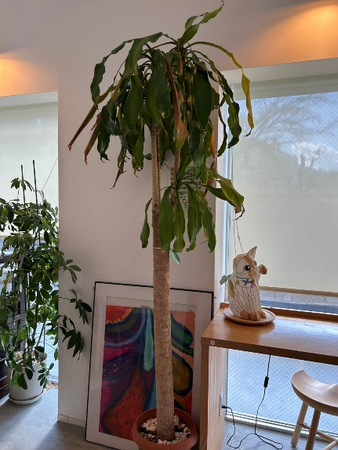 デイケアぷりぱ／第2デイケアぷりぱ（パート）の支援員求人メイン写真2