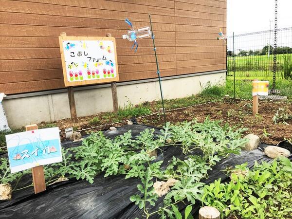 こぶしの里保育所（パート）の保育士求人メイン写真5